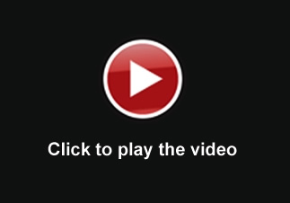 <center></center> video